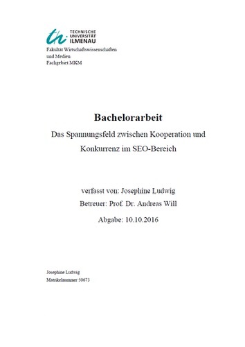 Jospehine Ludwig TU Ilmenau Bachelorarbeit Interview